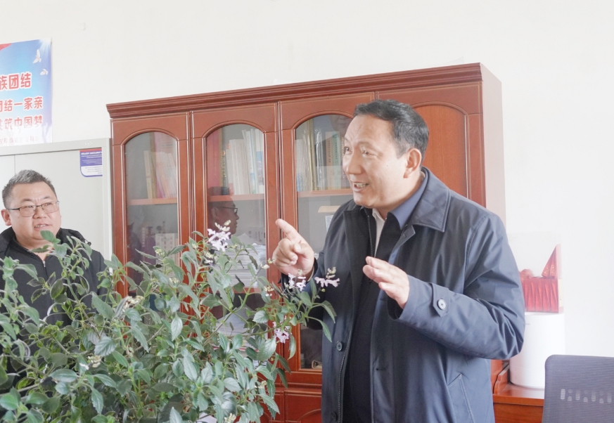 微信截图_20250415182335.png